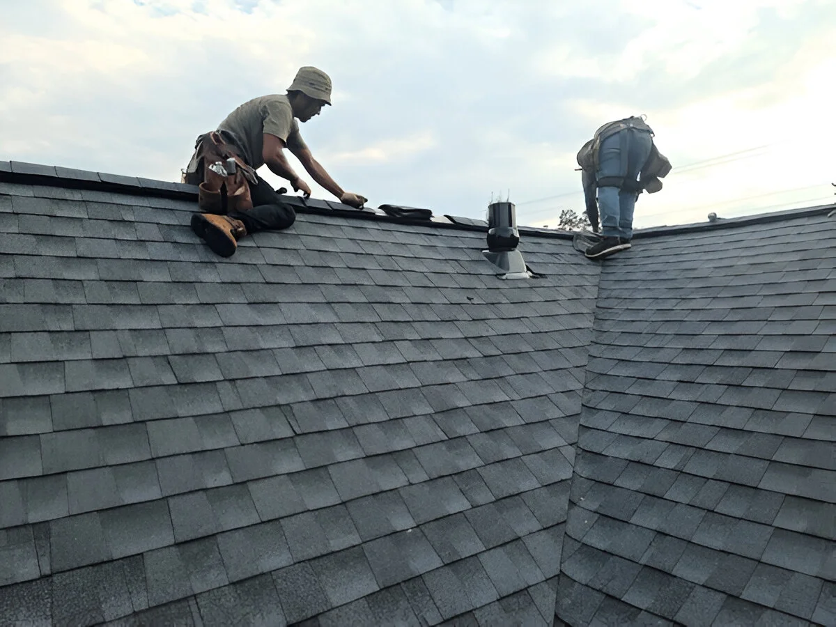 Shingle roof maintainance