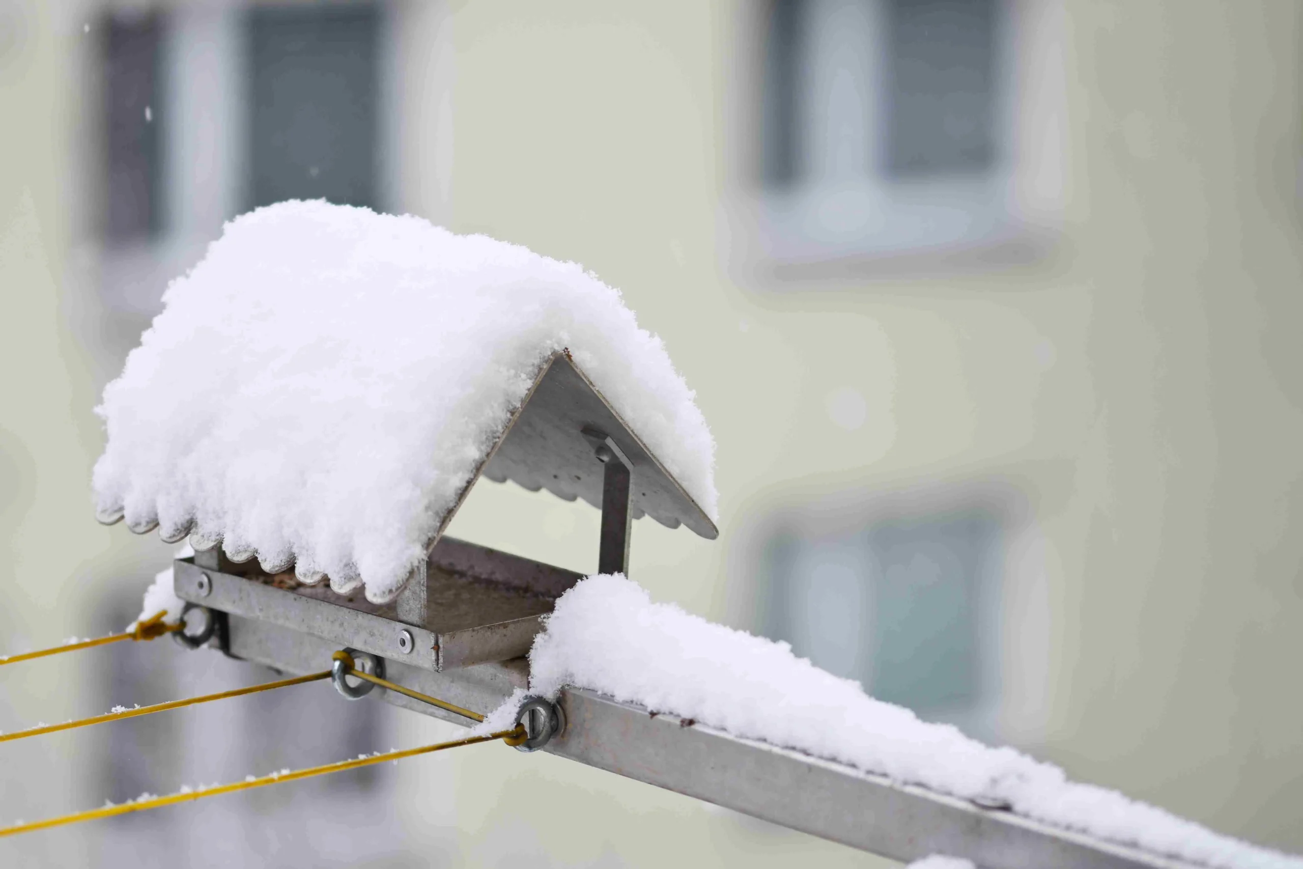 How Much Snow Can a Roof Hold