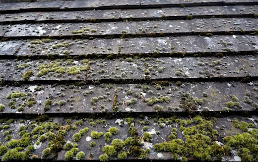 Asphalt Roofs